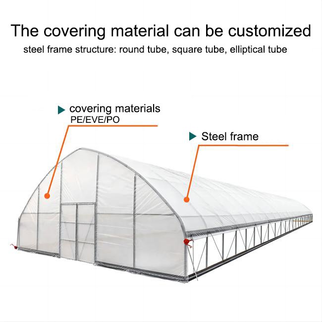 Agricultural tunnel plastic greenhouses grow Vegetables for agriculture low cost greenhouse