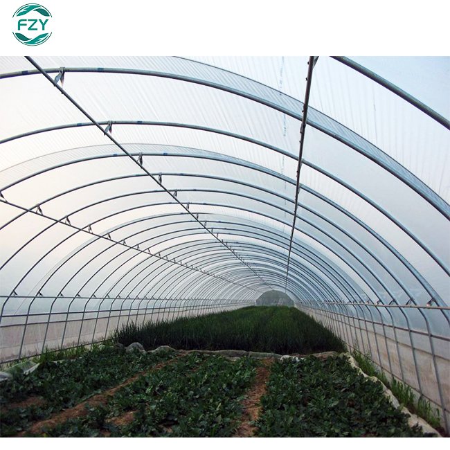 Agricultural tunnel plastic greenhouses grow Vegetables for agriculture low cost greenhouse