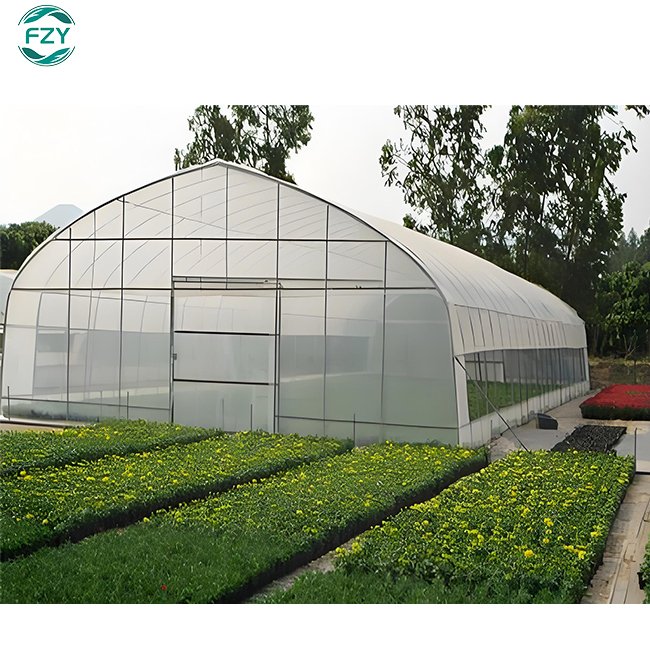 Agricultural tunnel plastic greenhouses grow Vegetables for agriculture low cost greenhouse