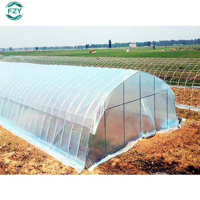 Agricultural tunnel plastic greenhouses grow Vegetables for agriculture low cost greenhouse