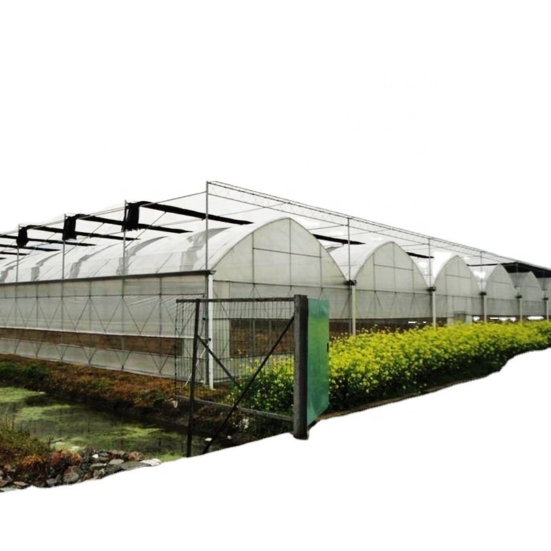 mushroom greenhouse equipment