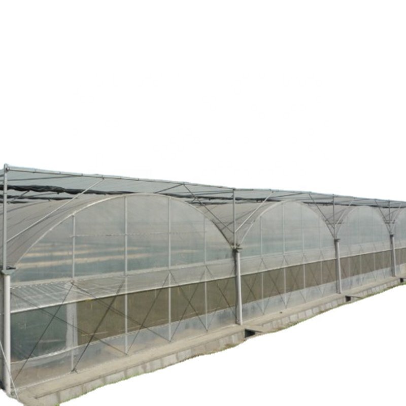 mushroom greenhouse equipment
