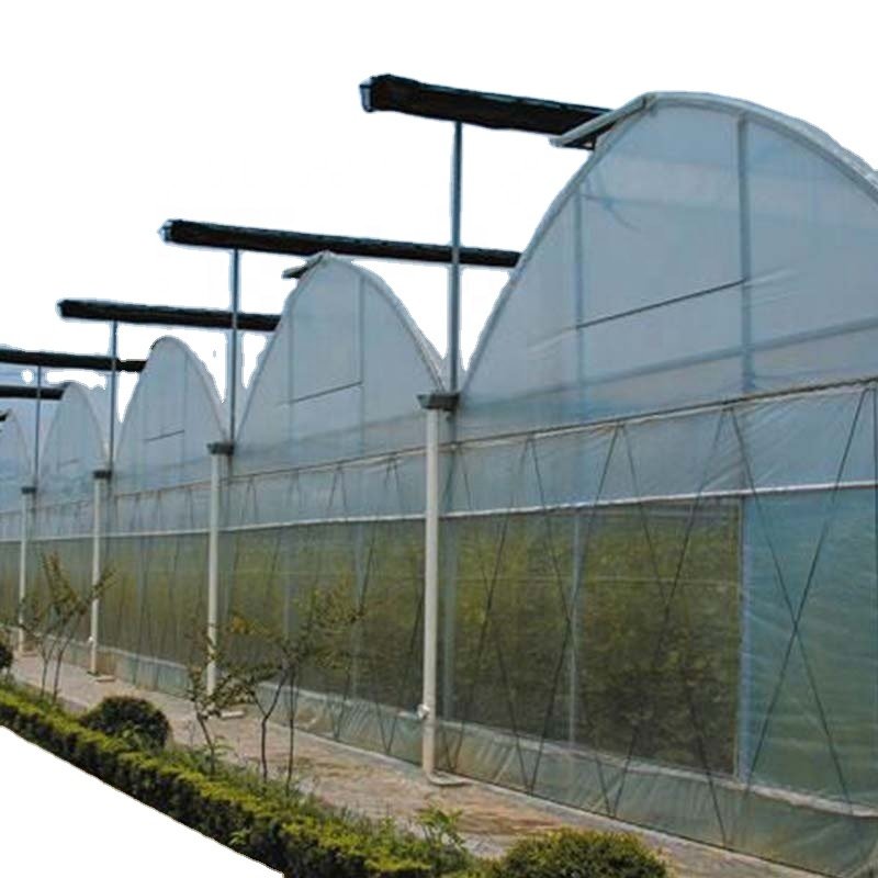 mushroom greenhouse equipment