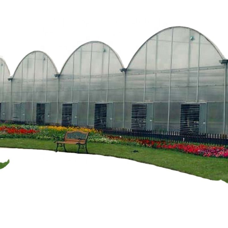 mushroom greenhouse equipment