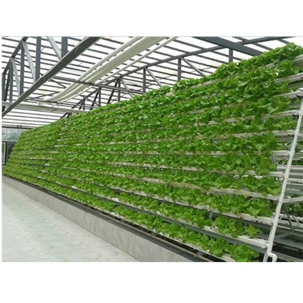 NFT Hydroponics PVC Channel for Hydroponic Growing System