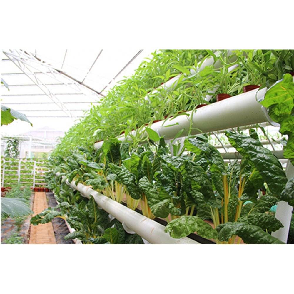 NFT Hydroponics PVC Channel for Hydroponic Growing System