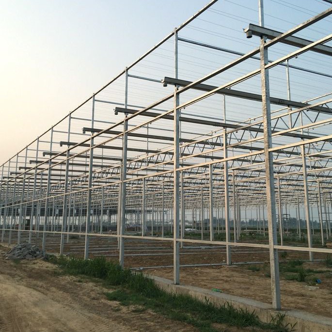 Fish and Vegetable Symbiotic System Multi-span Garden Commercial Tempered Glass Greenhouses