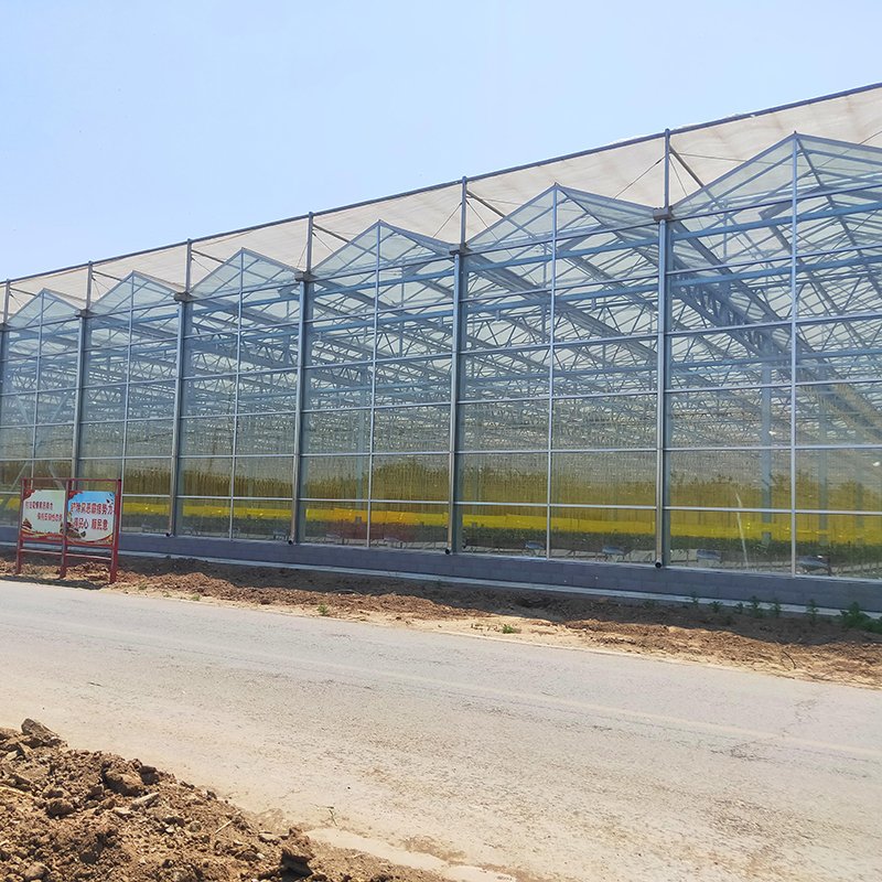 Fish and Vegetable Symbiotic System Multi-span Garden Commercial Tempered Glass Greenhouses