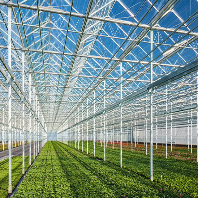 multi-span intelligent seedling glass greenhouse green house