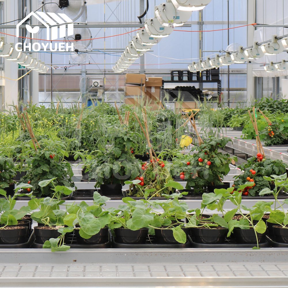 CHOYUEH Flow Rolling Bench Greenhouse Hydroponics ABS Flood Tray Low Cost Hydroponic Flood Table For Agricultural Greenhouse