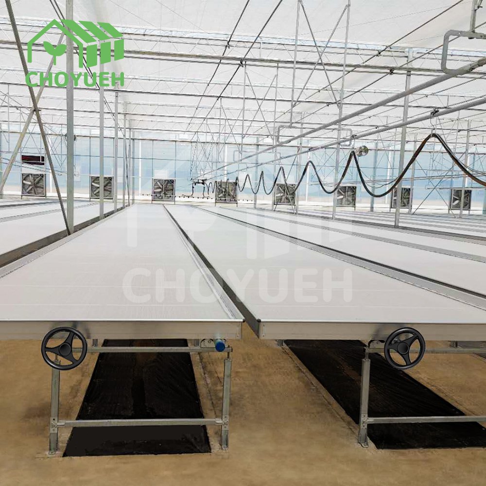 CHOYUEH Flow Rolling Bench Greenhouse Hydroponics ABS Flood Tray Low Cost Hydroponic Flood Table For Agricultural Greenhouse