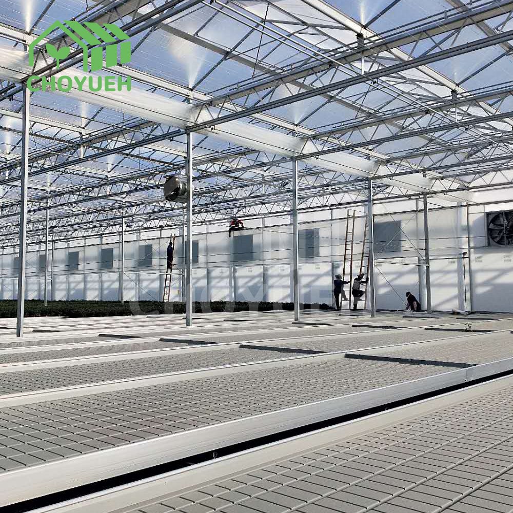 CHOYUEH Flow Rolling Bench Greenhouse Hydroponics ABS Flood Tray Low Cost Hydroponic Flood Table For Agricultural Greenhouse