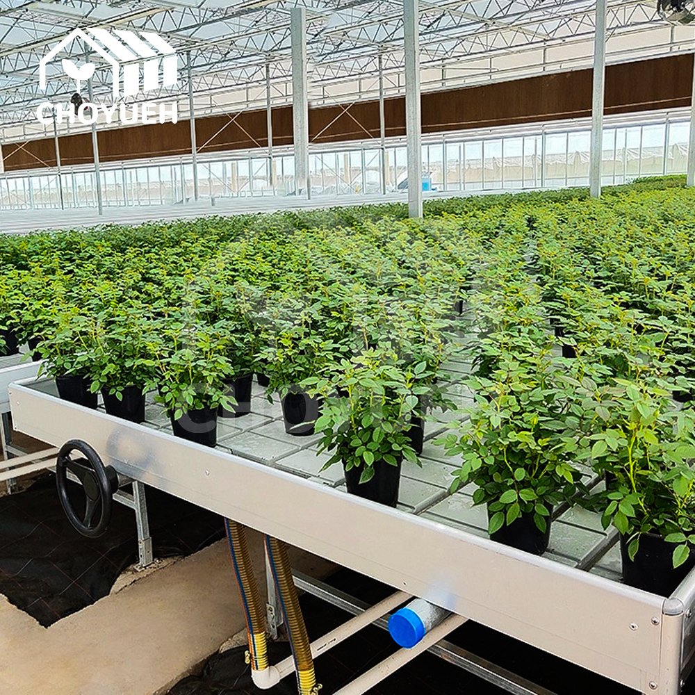 CHOYUEH Flow Rolling Bench Greenhouse Hydroponics ABS Flood Tray Low Cost Hydroponic Flood Table For Agricultural Greenhouse