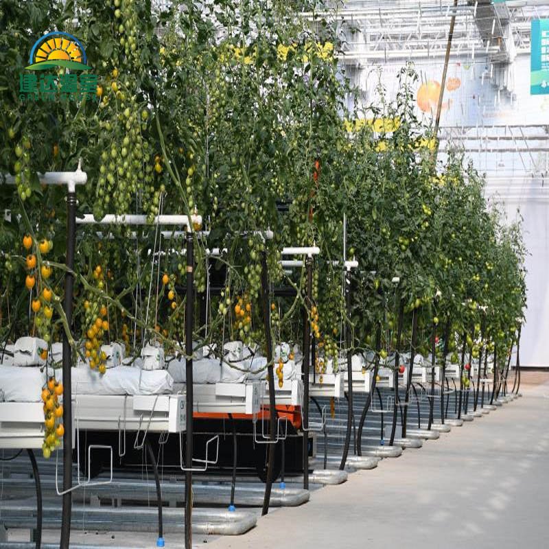 Multi span PO/PE Film green house Hydroponic planting greenhouse for Agricultural Greenhouses made in China