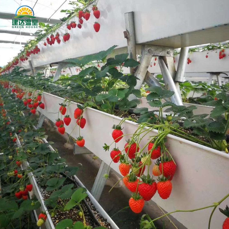 Multi span PO/PE Film green house Hydroponic planting greenhouse for Agricultural Greenhouses made in China