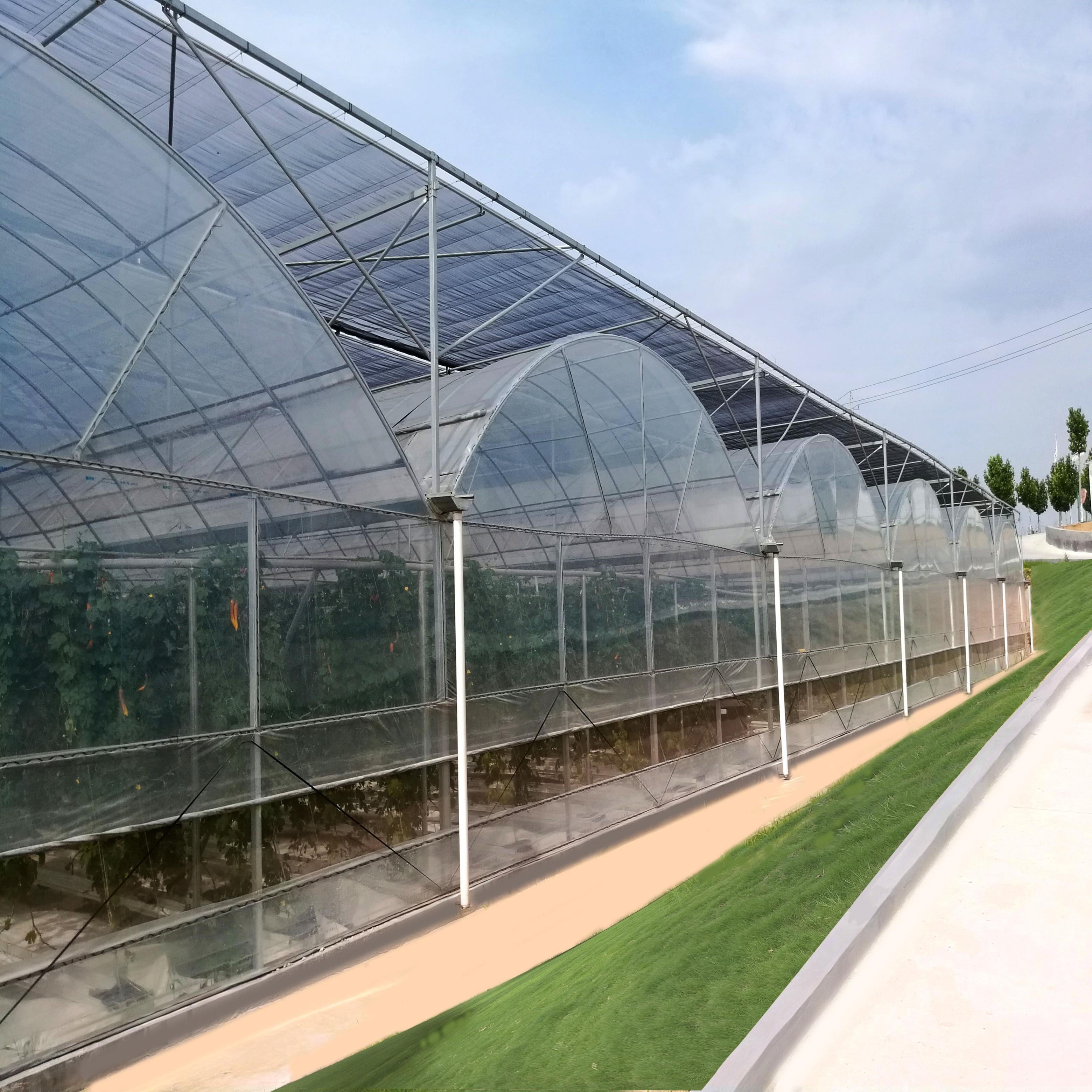 Multi Span Greenhouse Plastic Film Agricultural Greenhouse With Hydroponic Systems Tomato Green House