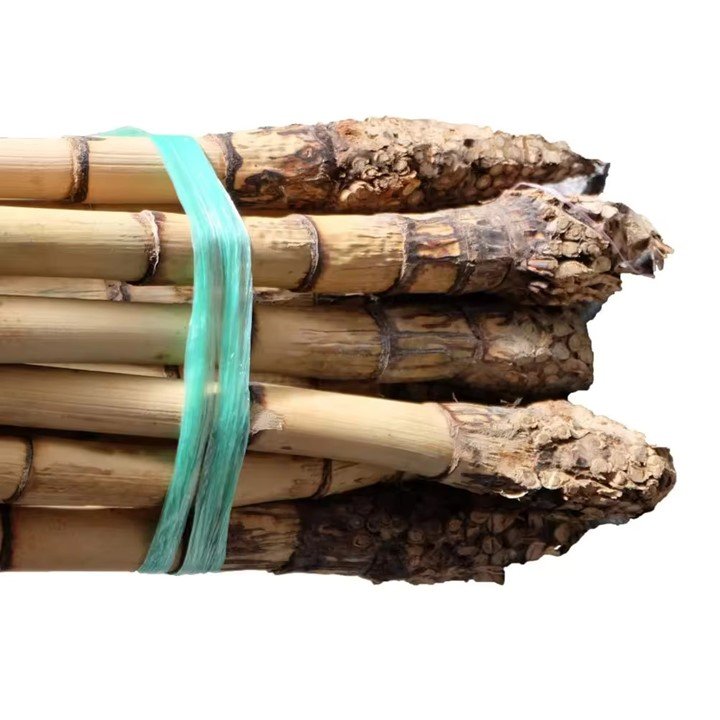 Best Selling Small Size Natural Raw Rattan Cane Material Furniture Handicrafts CH GLOBAL Agriculture Agricultural Greenhouses