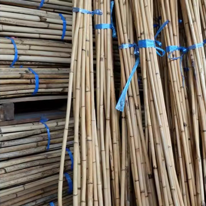 Best Selling Small Size Natural Raw Rattan Cane Material Furniture Handicrafts CH GLOBAL Agriculture Agricultural Greenhouses