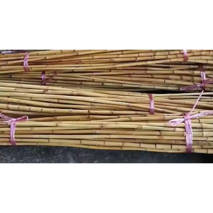 Best Selling Small Size Natural Raw Rattan Cane Material Furniture Handicrafts CH GLOBAL Agriculture Agricultural Greenhouses