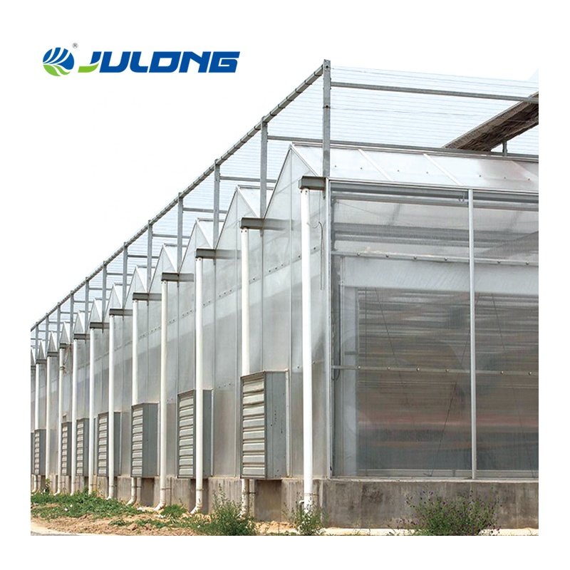 Polycarbonate Greenhouse Agricultural Greenhouses equipment PC Green houses for Agriculture growing