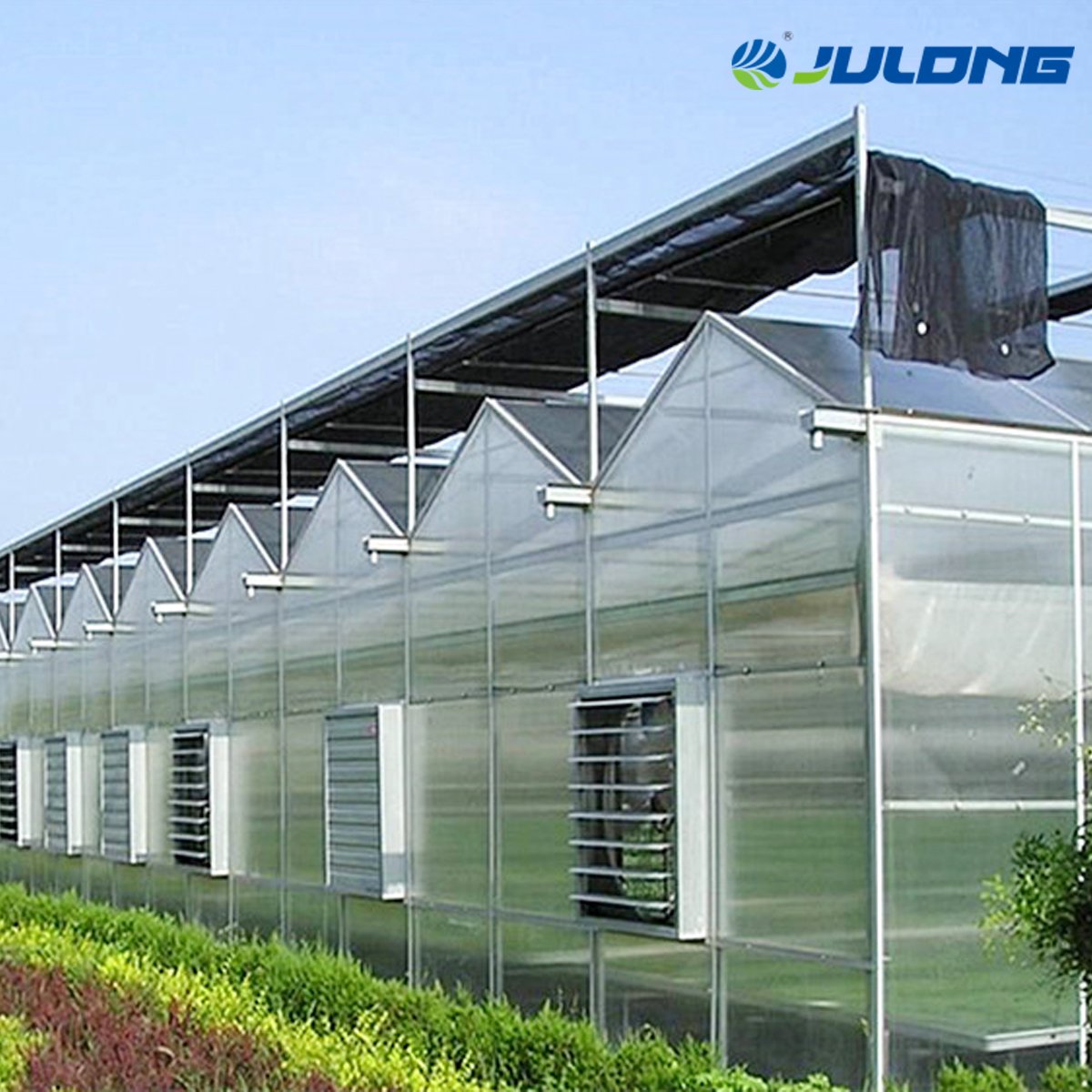 Polycarbonate Greenhouse Agricultural Greenhouses equipment PC Green houses for Agriculture growing
