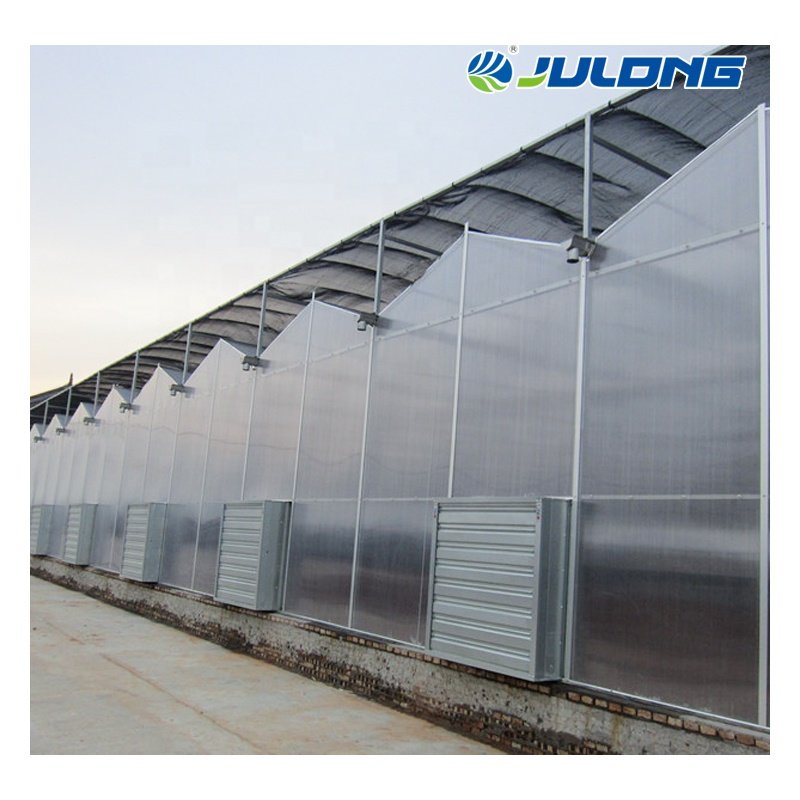 Polycarbonate Greenhouse Agricultural Greenhouses equipment PC Green houses for Agriculture growing