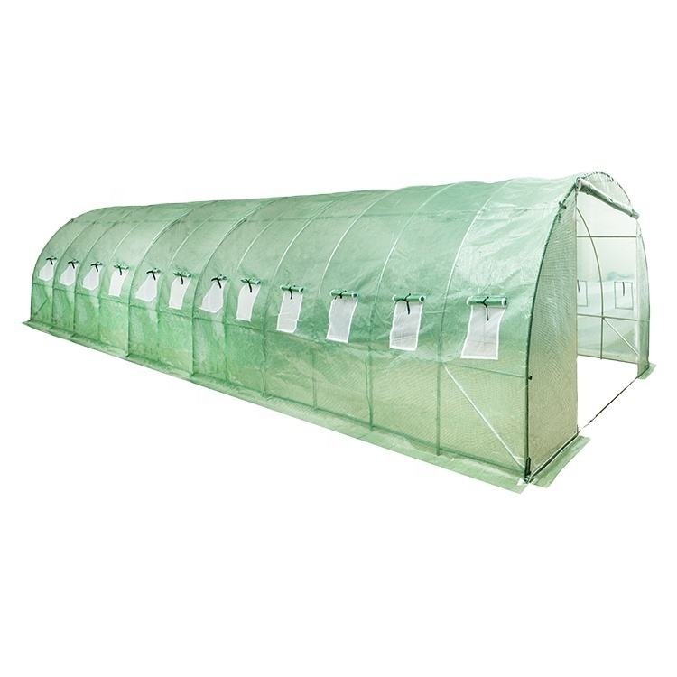 Hot Sale Sustainable Plastic Agricultural Vegetable Tunnel Greenhouse For Tomato Rose Mushroom