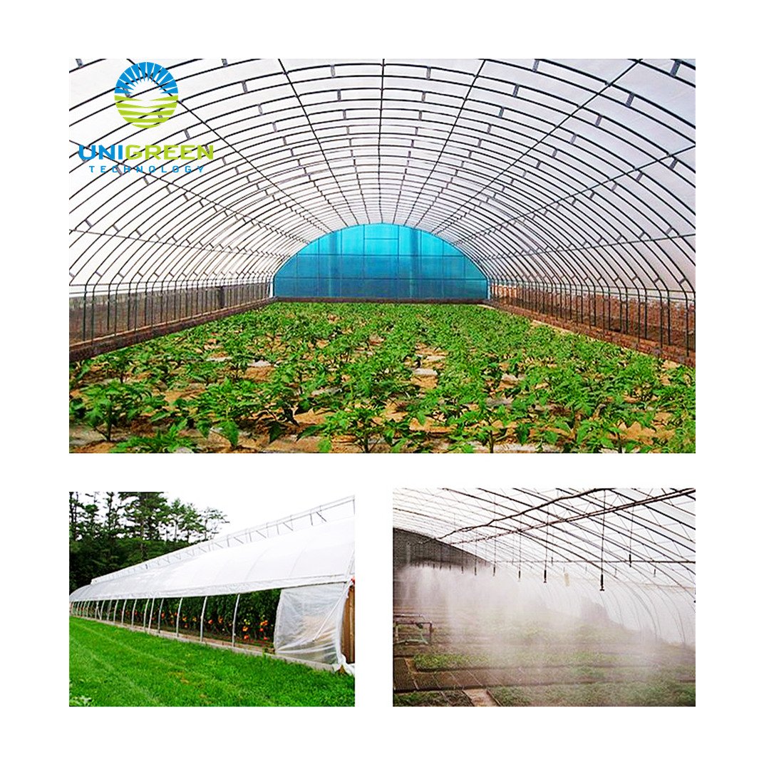 10 Years Lifespan Multi-span Agricultural Used Greenhouse Aluminum Base With 200 Micron Plastic Film Greenhouse