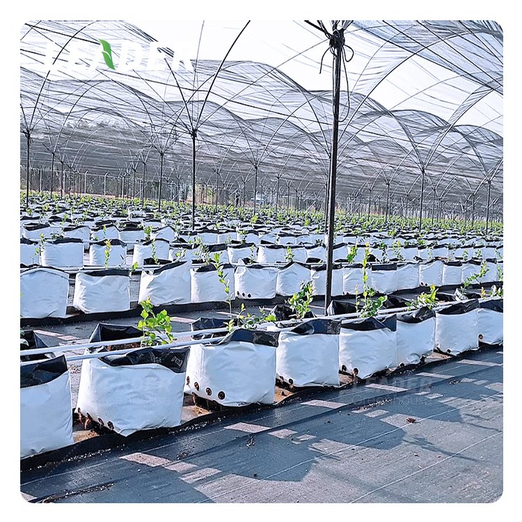 Popular agricultural berry greenhouse PE plastic black white plant grow bag fruit growing bag for strawberry blueberry raspberry