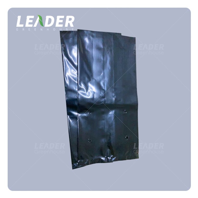 Popular agricultural berry greenhouse PE plastic black white plant grow bag fruit growing bag for strawberry blueberry raspberry