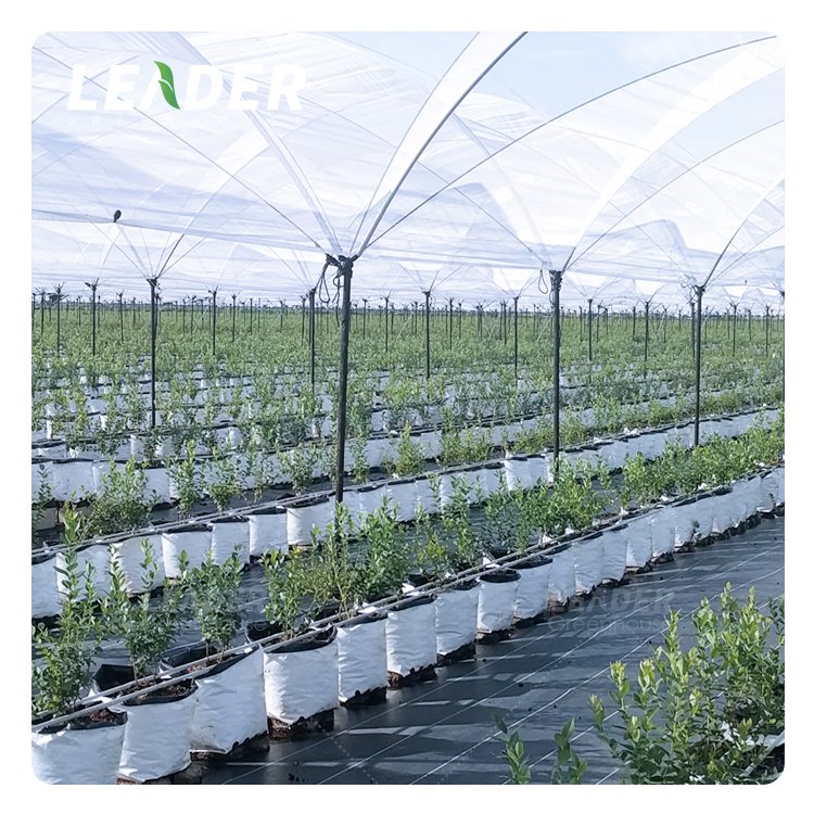 Popular agricultural berry greenhouse PE plastic black white plant grow bag fruit growing bag for strawberry blueberry raspberry