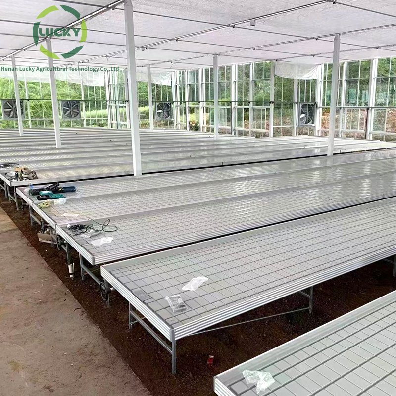 Automated Rolling Bench Greenhouse System Grow Table Aluminum Greenhouse Seedbed Track Sliding Rolling Bench