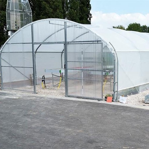 Low cost agricultural greenhouse for home growing best selling single-span greenhouse plastic film greenhouse growing system