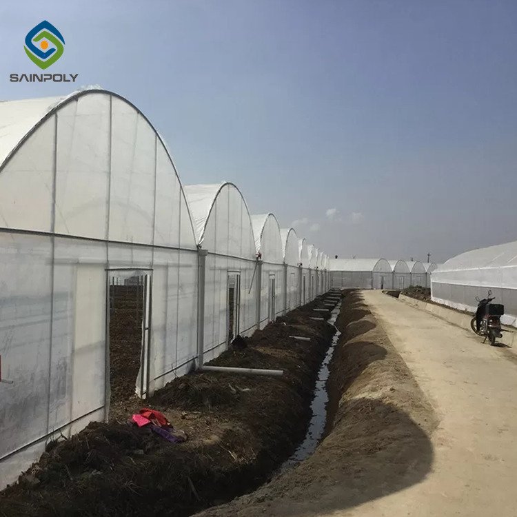 Sainpoly Low Cost Agricultural Plastic Film Greenhouse Hot Sale