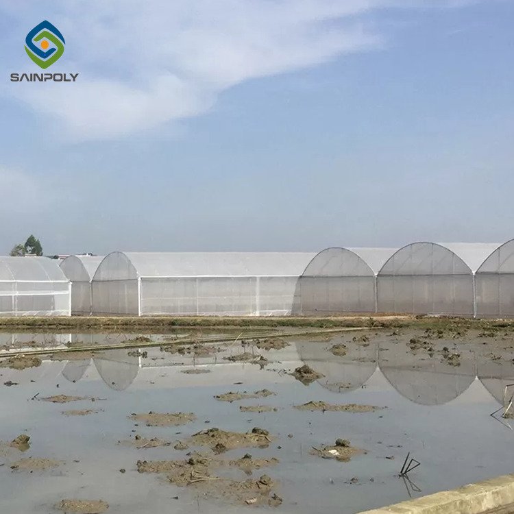 Sainpoly Low Cost Agricultural Plastic Film Greenhouse Hot Sale
