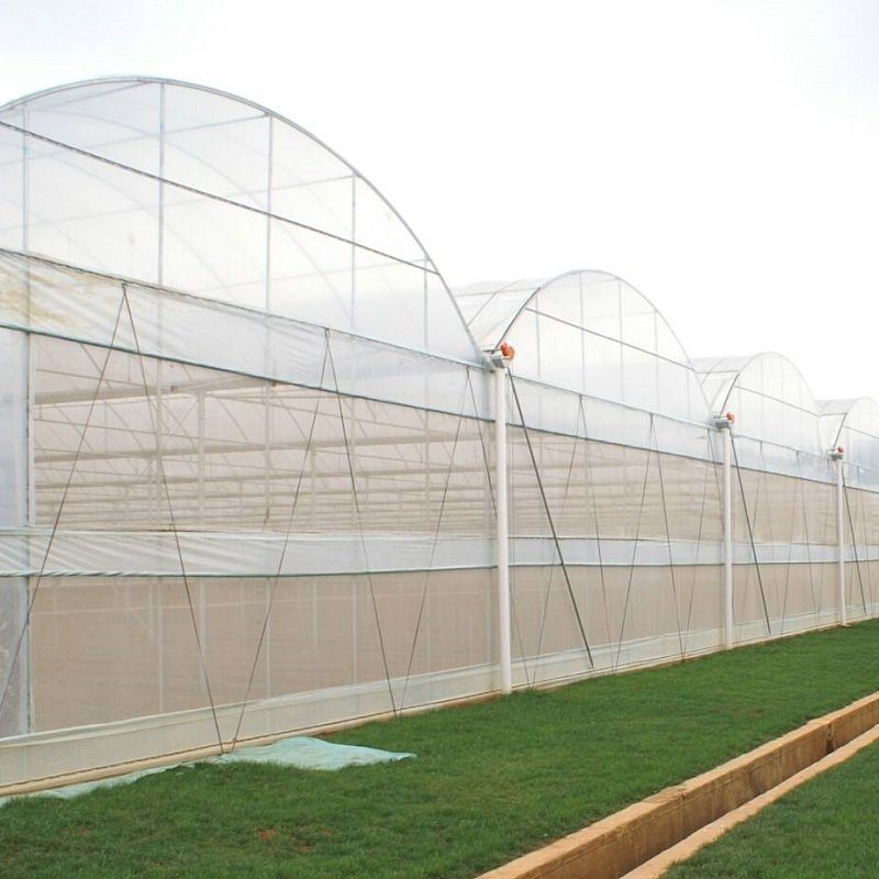 Sainpoly Low Cost Agricultural Plastic Film Greenhouse Hot Sale