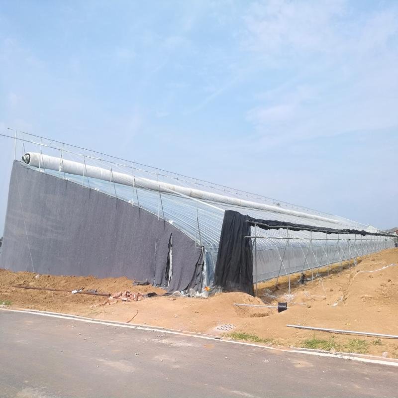 Single Span Sunlight Winter Agricultural Greenhouse With Plastic Cover And Hot Galvanized Steel Structure
