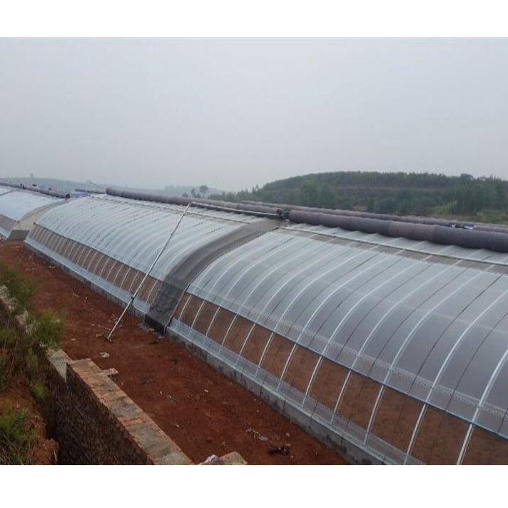 Single Span Sunlight Winter Agricultural Greenhouse With Plastic Cover And Hot Galvanized Steel Structure