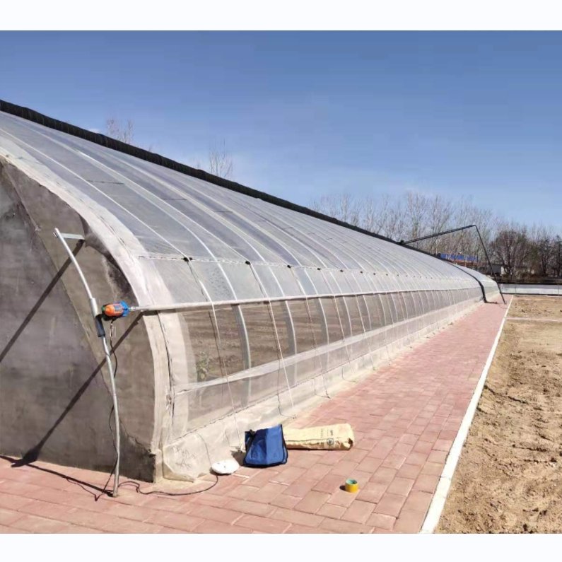 Single Span Sunlight Winter Agricultural Greenhouse With Plastic Cover And Hot Galvanized Steel Structure