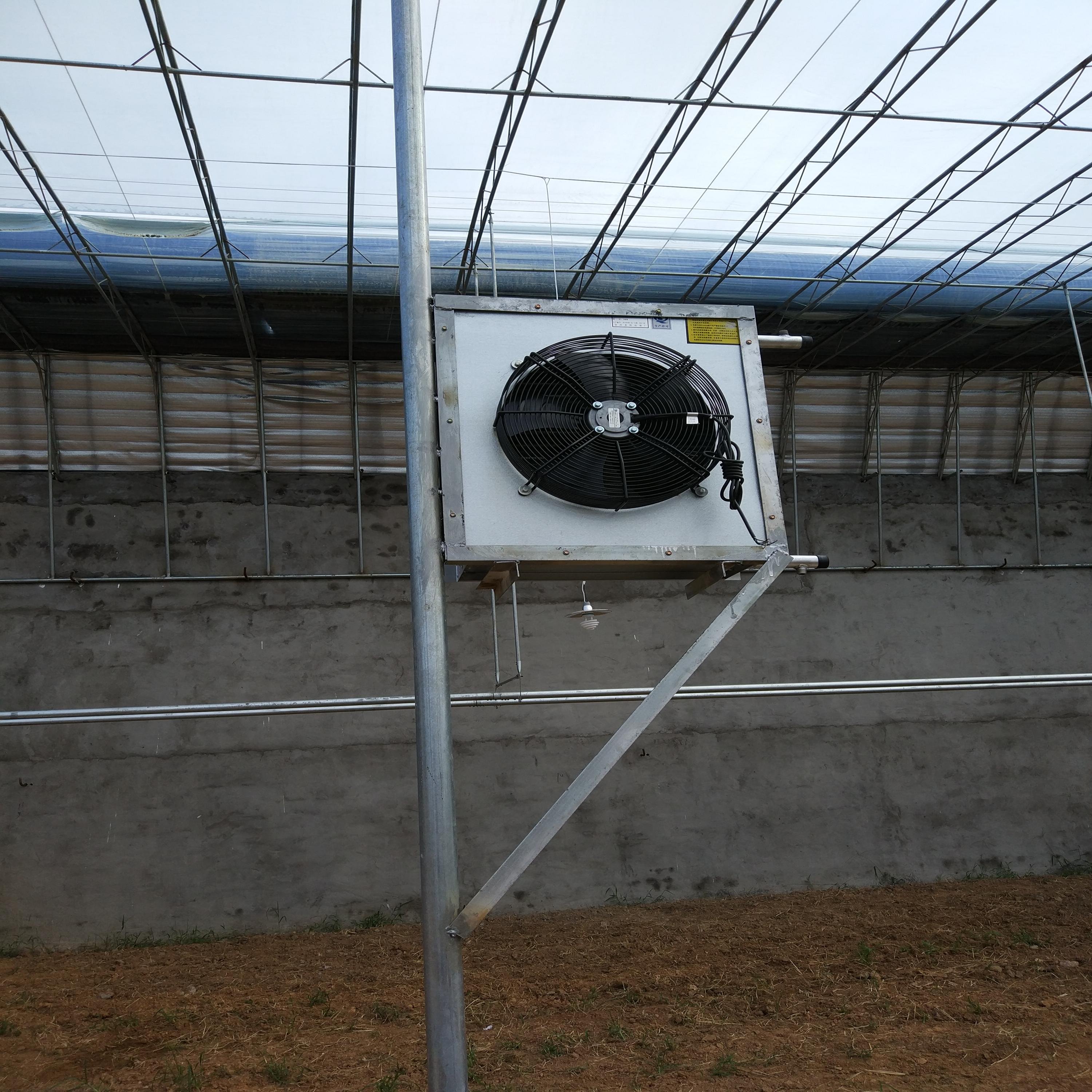 Single Span Sunlight Winter Agricultural Greenhouse With Plastic Cover And Hot Galvanized Steel Structure