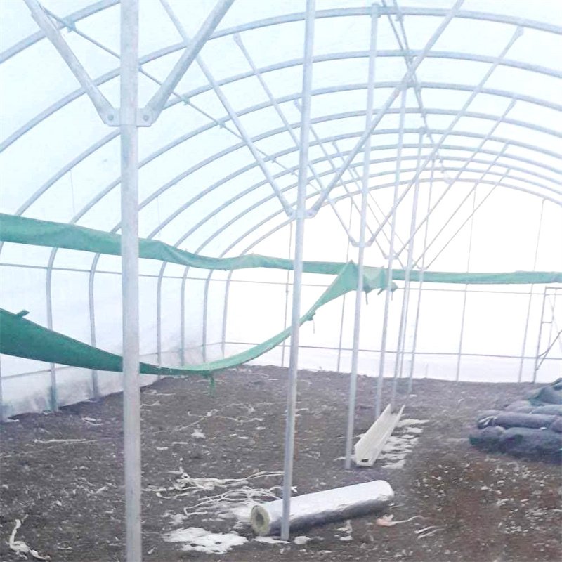 Passive Solar Greenhouse Tunnel Greenhouses Double Arch Agricultural Greenhouse with Quilt for Cold Area Hydroponic