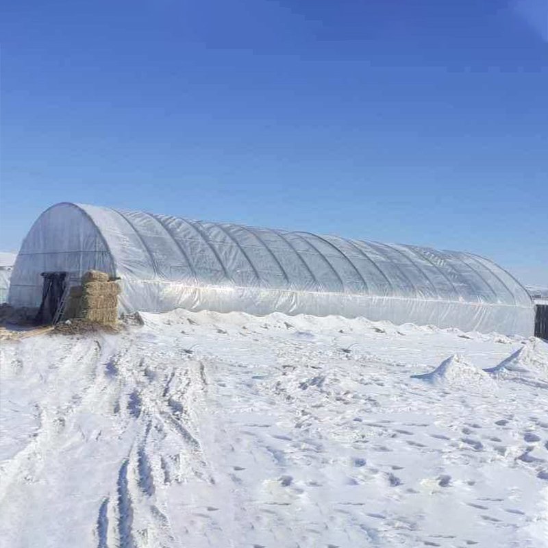 Passive Solar Greenhouse Tunnel Greenhouses Double Arch Agricultural Greenhouse with Quilt for Cold Area Hydroponic