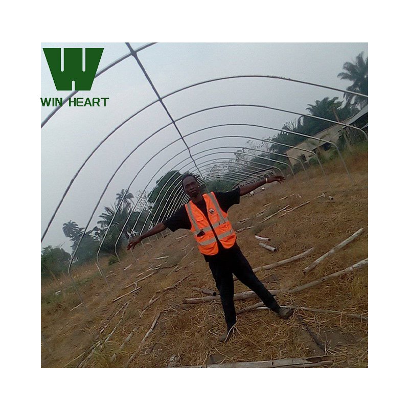 Green house metal frame agriculture greenhouse