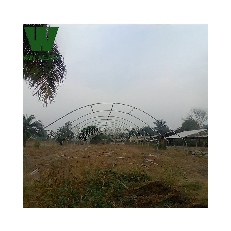 Green house metal frame agriculture greenhouse
