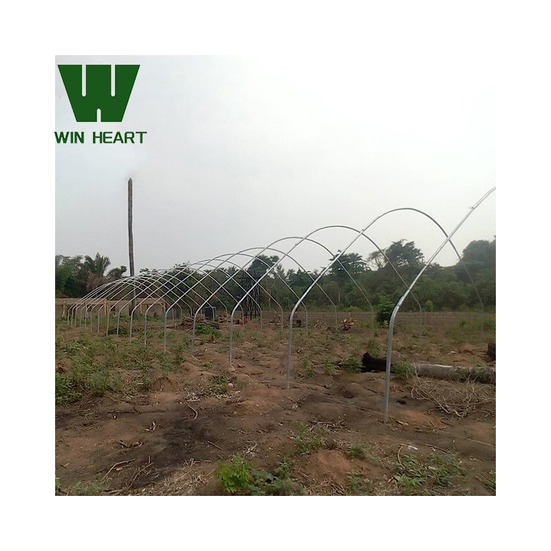 Green house metal frame agriculture greenhouse