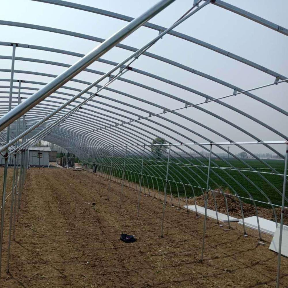G Chinese Single Span Greenhouse Multi Span Agricultural greenhouses with Plastic Film