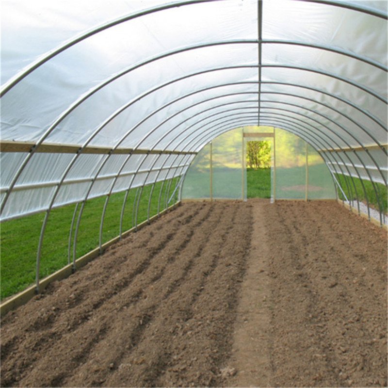 G Chinese Single Span Greenhouse Multi Span Agricultural greenhouses with Plastic Film