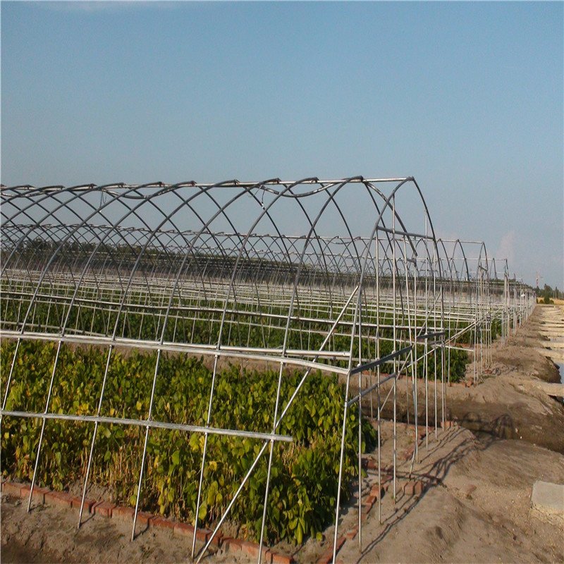 G Chinese Single Span Greenhouse Multi Span Agricultural greenhouses with Plastic Film