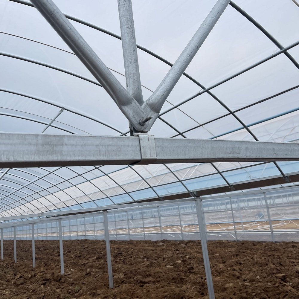 Vegetable Green House Multi-Span Agricultural Greenhouses Sawtooth Greenhouse Hoop House