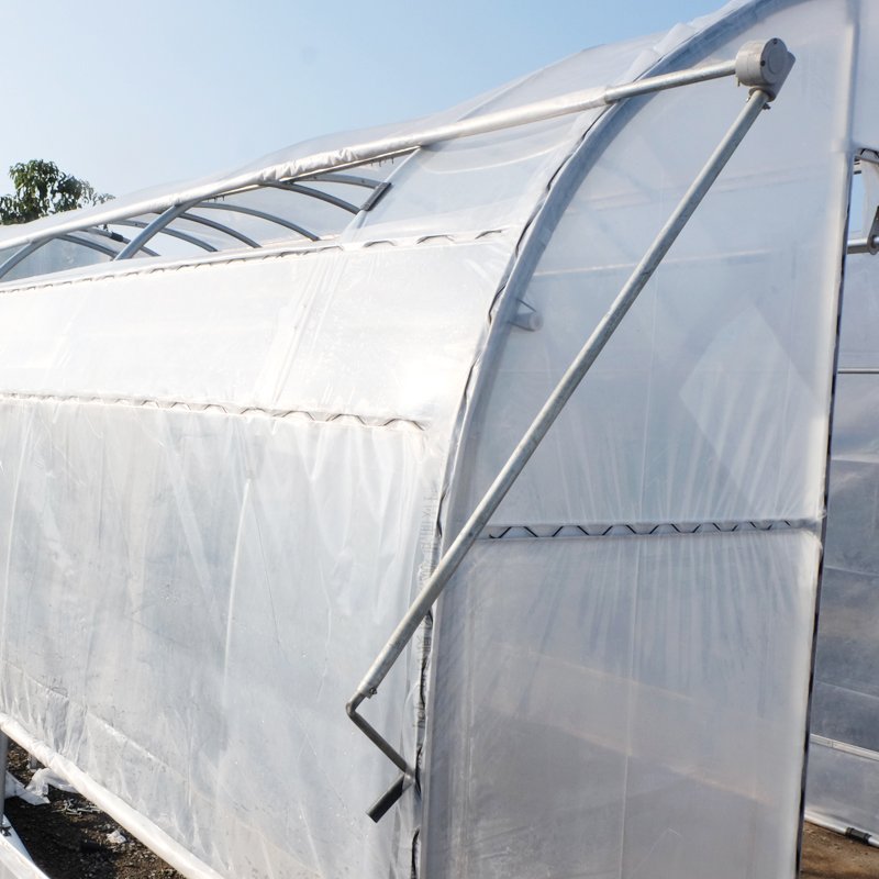 Large Dome High Tunnel Agriculture Greenhouse for Sale